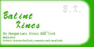 balint kincs business card